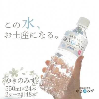 北海道大雪山　ゆきのみず　550ml×24本入り 【2ケース計48本】【622】
