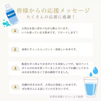 北海道大雪山　ゆきのみず　550ml×24本入り 【2ケース計48本】【622】
