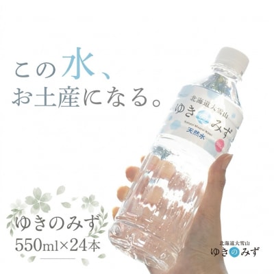 北海道大雪山　ゆきのみず　550ml×24本入り【601】