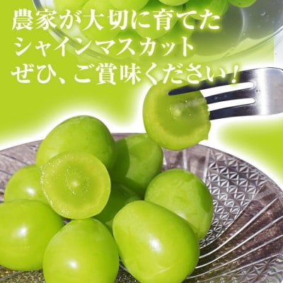 シャインマスカット約1kg