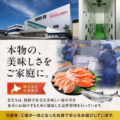 銀鮭切身 厚切り(100g)2切×8パック(16切) 1.6kg入_HD231-011