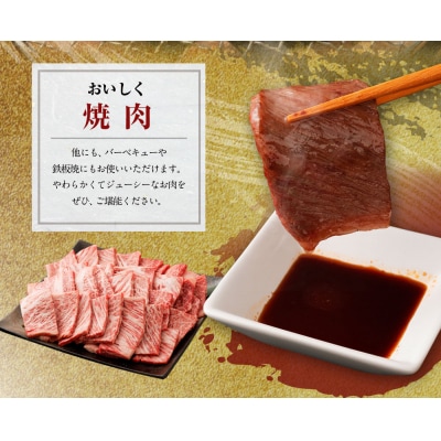 博多和牛　肩ロース焼肉用500g 「ヒロムラ」