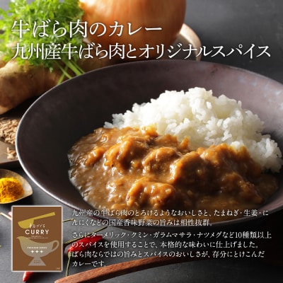 ピエトロシェフの本格カレー満喫セット(5食セット)