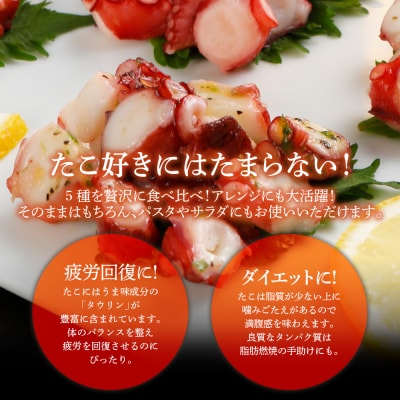 彩りたこづくしセット【(株)カイセイ】