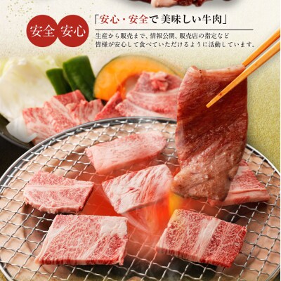 博多和牛肩ロース焼肉用600g (有)ヒロムラ