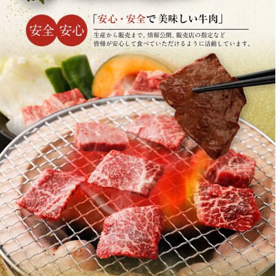 博多和牛赤身焼肉用800g(有)ヒロムラ