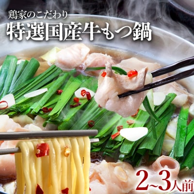 鶏家特選もつ鍋セット2～3人前(ふるさと納税限定セット)