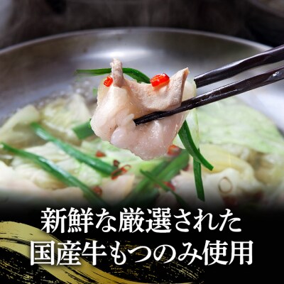 鶏家特選もつ鍋セット2～3人前(ふるさと納税限定セット)