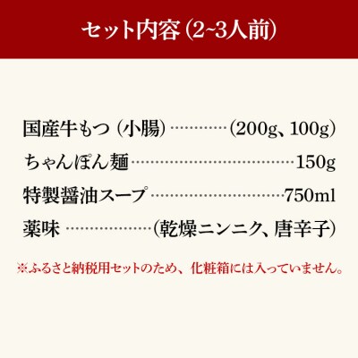 鶏家特選もつ鍋セット2～3人前(ふるさと納税限定セット)