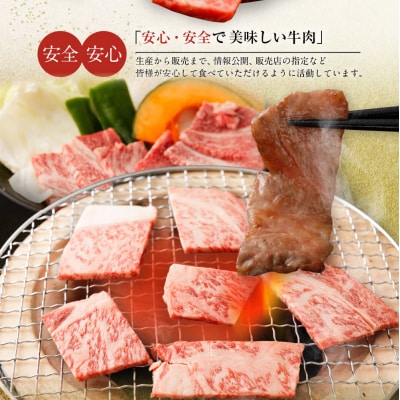 博多和牛ロース焼肉用800g　(有)ヒロムラ