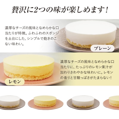  レアチーズケーキセット(プレーン+レモン) 江口製菓(株)