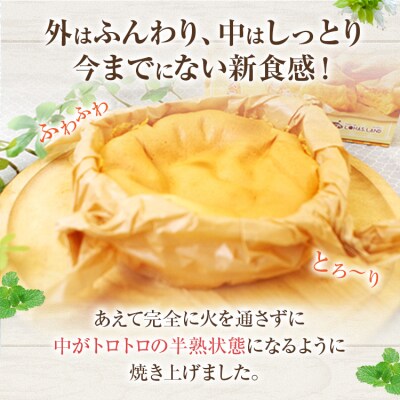 半熟カステラ<3個セット>　江口製菓(株)