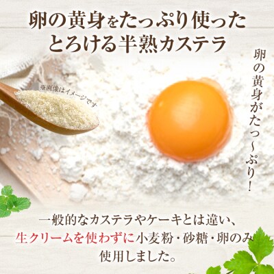 半熟カステラ<3個セット>　江口製菓(株)