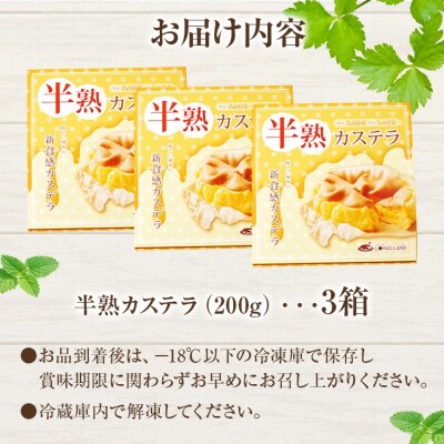 半熟カステラ<3個セット>　江口製菓(株)