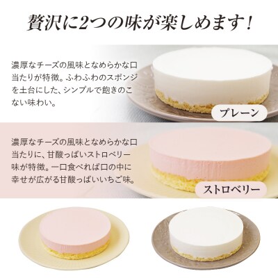 レアチーズケーキセット(プレーン+ストロベリー)　江口製菓(株)