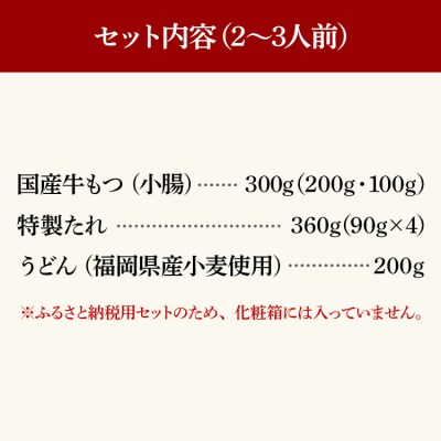 鶏家もつすきセット2～3人前(ふるさと納税限定セット)(株)匠家
