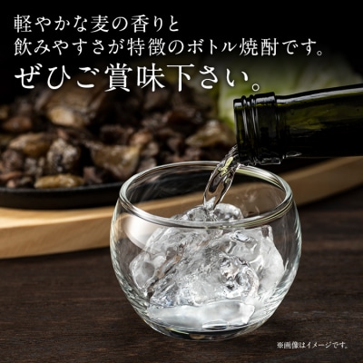 麦焼酎おやすいごよう(5000ml×4本)翁酒造(株)