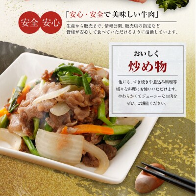 博多和牛　切り落とし600g 「ヒロムラ」