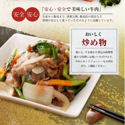 博多和牛　切り落とし600g 「ヒロムラ」