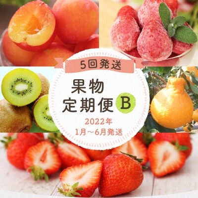 定期便 5回発送 果物定期便b キウイ デコポン あまおう 冷凍あまおう すもも お礼品詳細 ふるさと納税なら さとふる