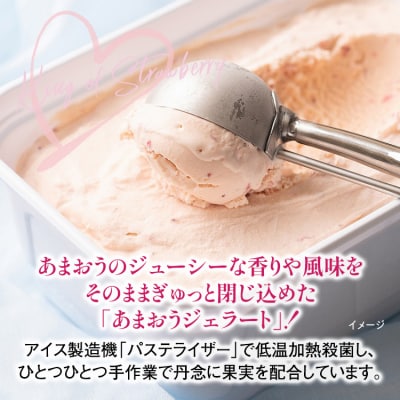 あまおうジェラート 100ml×6個 南国フルーツ(株)