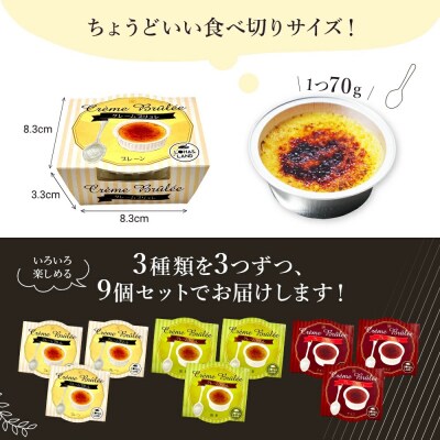 こがしクレームブリュレ(プレーン・抹茶・チョコ)3種×各3個(9個)セット　江口製菓(株)