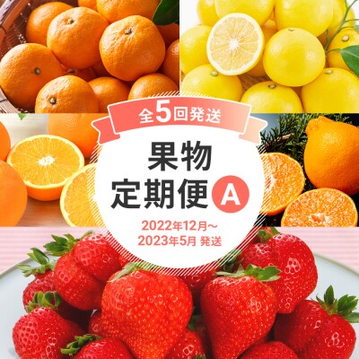 【果物定期便A (5回発送)】 みかん ネーブル デコポン 博多あまおう ニューサマーオレンジ