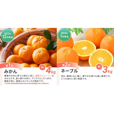 【果物定期便A (5回発送)】 みかん ネーブル デコポン 博多あまおう ニューサマーオレンジ