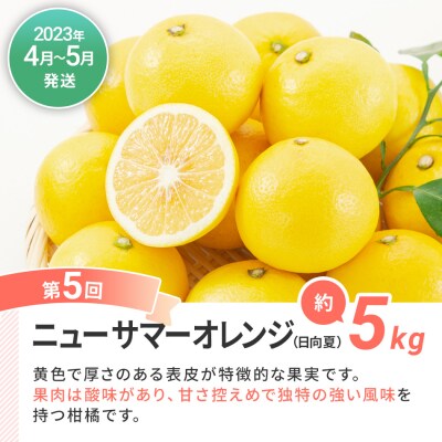 【果物定期便A (5回発送)】 みかん ネーブル デコポン 博多あまおう ニューサマーオレンジ