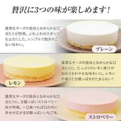 レアチーズケーキセット(プレーン+レモン+ストロベリー)