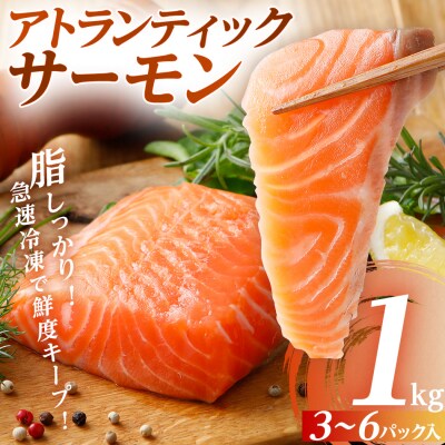 ノルウエー産アトランティックサーモン刺身用 1kg | ふるさと納税のお礼品