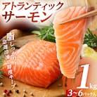 ノルウエー産アトランティックサーモン刺身用 1kg