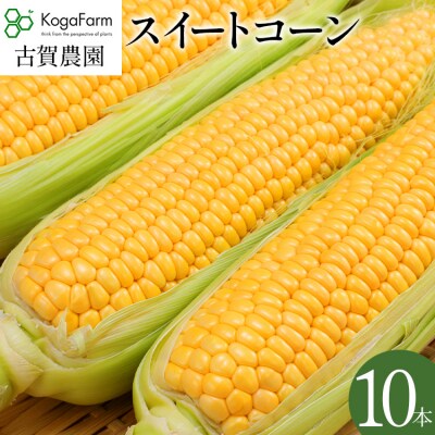 朝採りスイートコーン(10本)