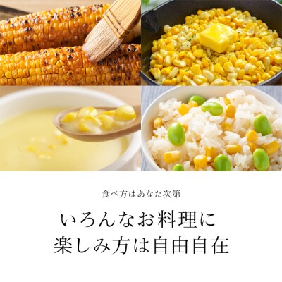 朝採りスイートコーン(10本)