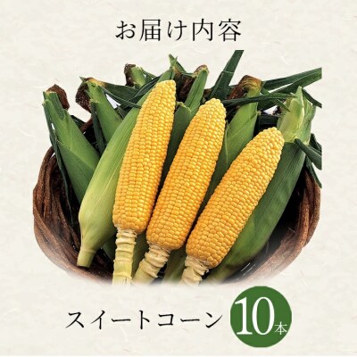 朝採りスイートコーン(10本)