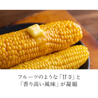朝採りスイートコーン(20本)