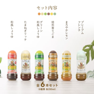 人気不動のドレッシング6本セット