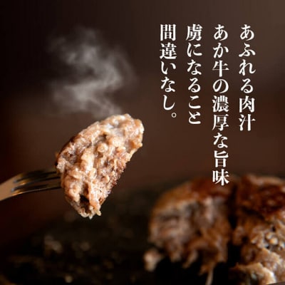 阿蘇あか牛ハンバーグ　株式会社LARKS