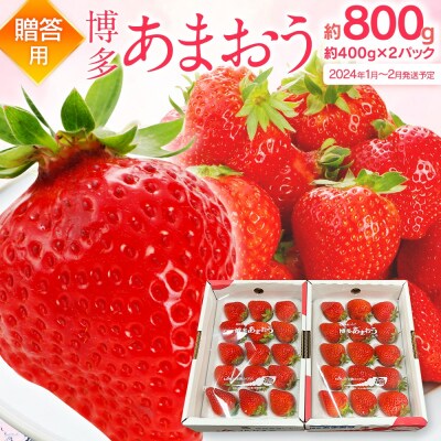 【2024年1月～2月順次発送予定】 あまおう 約400g×2パックEX　 合計約800g