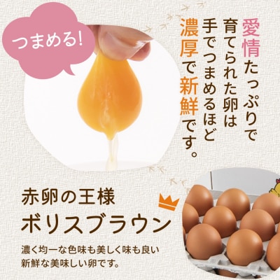 木村さんちのたまご 赤玉30個 (M～L)