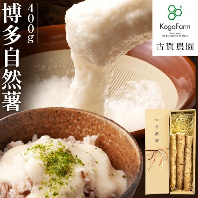 博多自然薯 400g