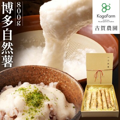 博多自然薯 800g