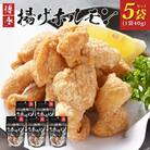 博多揚げホルモン(5袋セット)