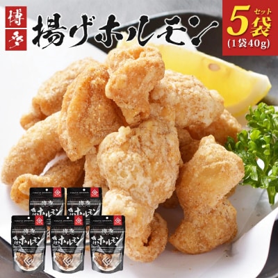 博多揚げホルモン(5袋セット)