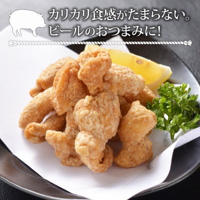 博多揚げホルモン(5袋セット)