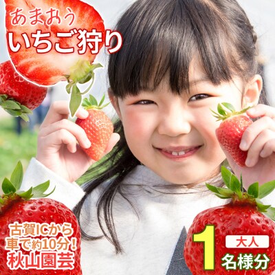 60分食べ放題!いちご狩りチケット!<大人1名様分×1枚>