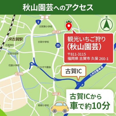 60分食べ放題!いちご狩りチケット!<大人1名様分×1枚>