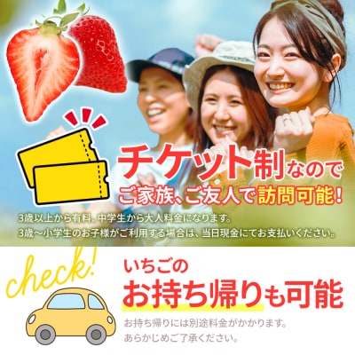 60分食べ放題!いちご狩りチケット!<大人1名様分×3枚>