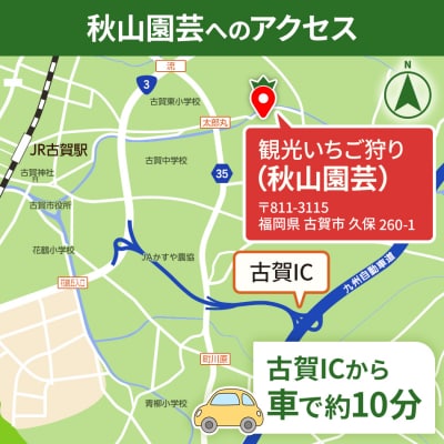 60分食べ放題!いちご狩りチケット!<大人1名様分×4枚>