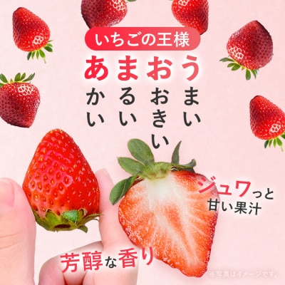 冷凍いちご(あまおう)1kg